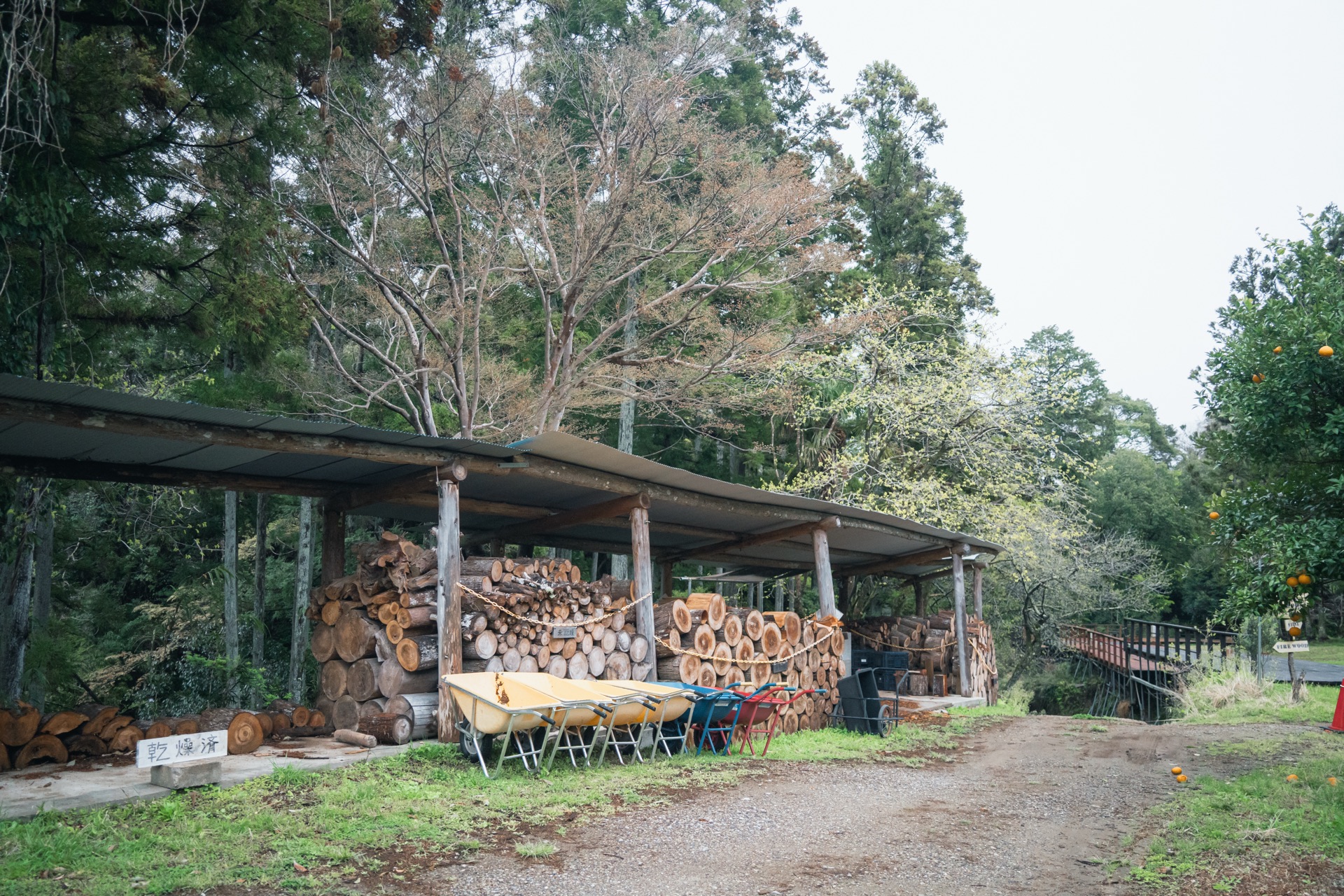 キャンプ
